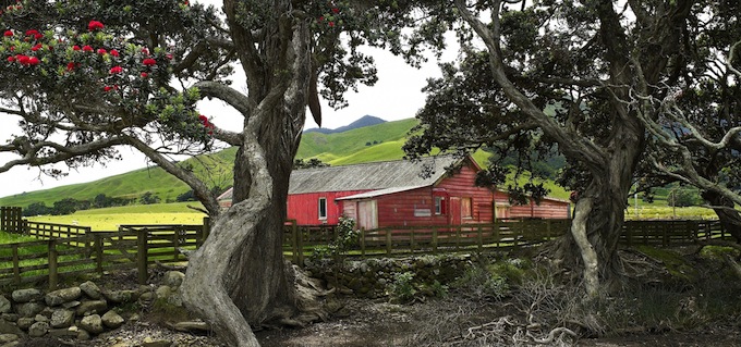 Peter Latham | Rustic Reds| Photogrphy  | McAtamney Gallery and Design Store | Geraldine NZ